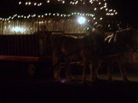 photos 2000-200901679